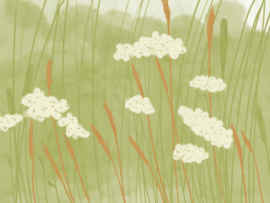 Illustration by Michelle Campos Castillo showing waving grass and stems with white flowers.